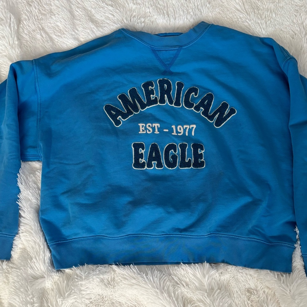 American Eagle Outfitters Vibrant Blue Hoodie